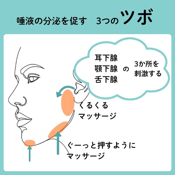 唾液の分泌を促すツボ